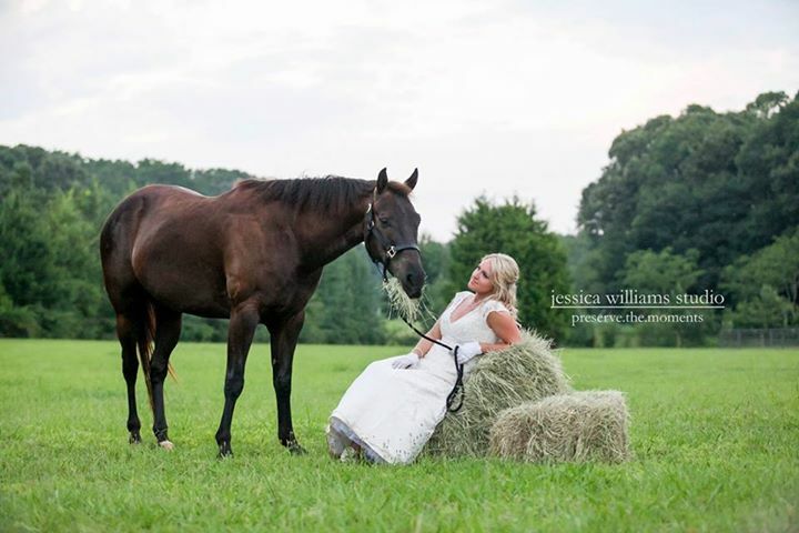 equestrian, horse, drum and bride