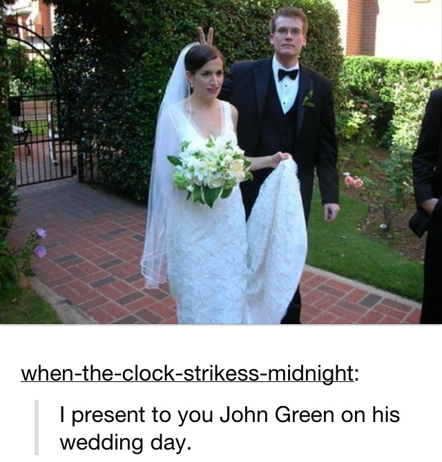 lovebirds, cute, adorable and love