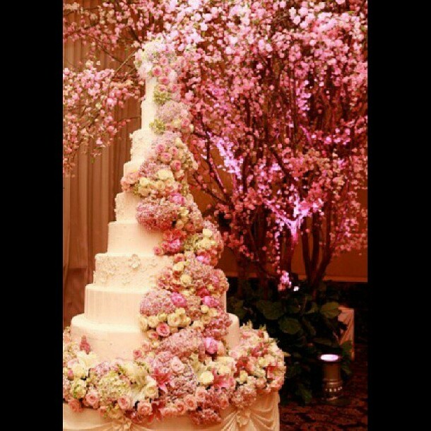 pink, roses, beautiful and pastry