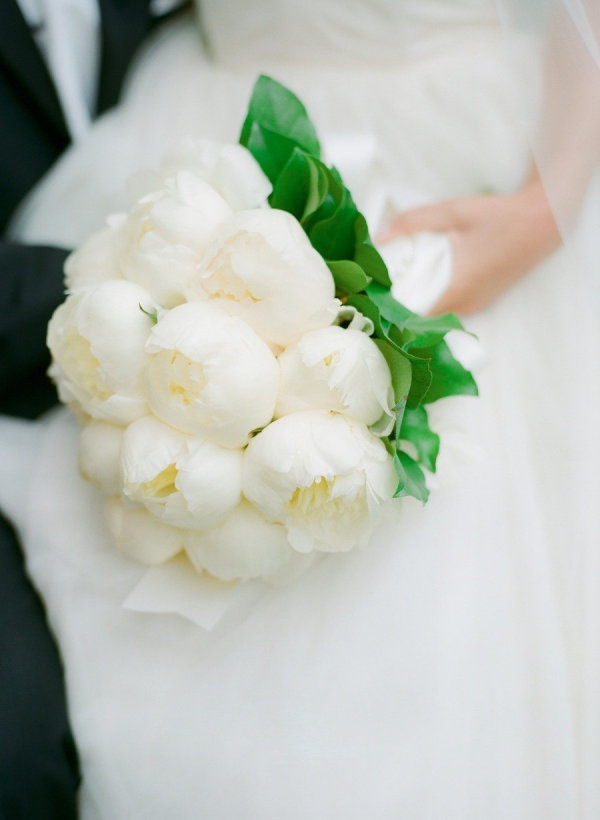 white, peonies, annalelynne114mabao and jg