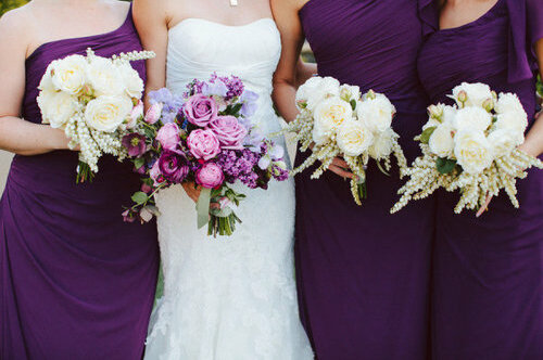 pink, Couture and purple