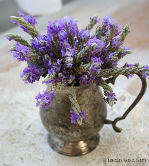 random, nature, purple and flowers