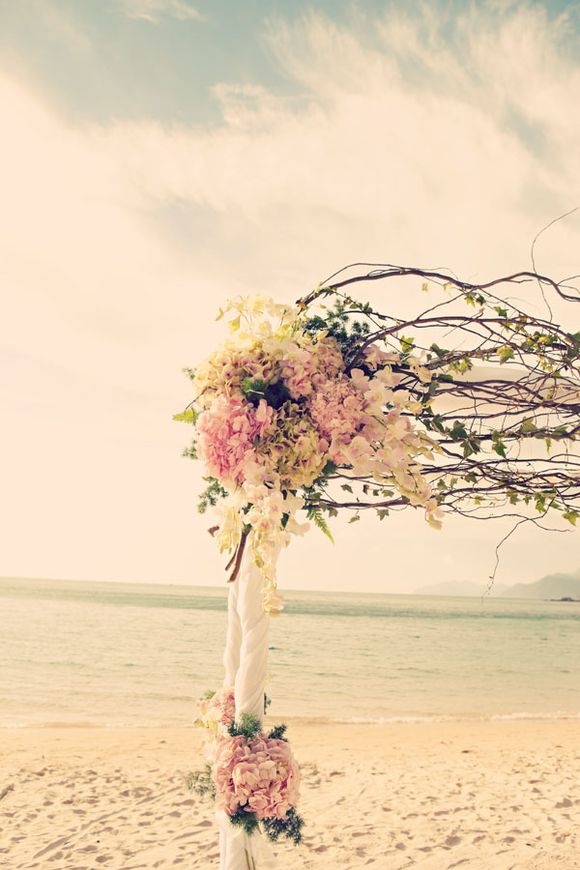 photography, flowers, pink and cute