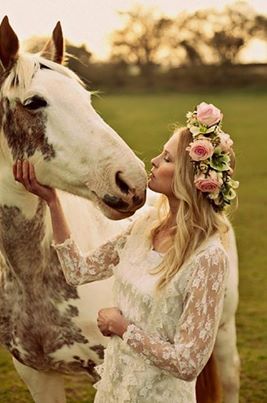 horses, white and horse