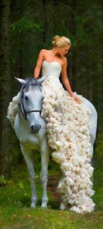 photography, girl and horse