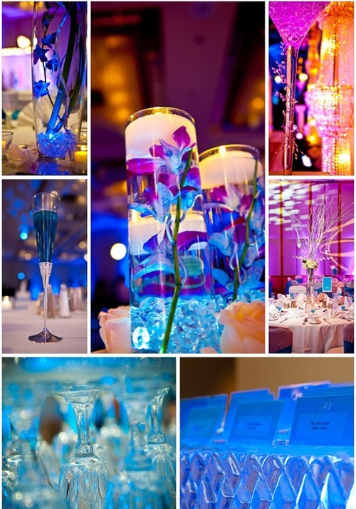 lesbian, marry me, orchids and blue