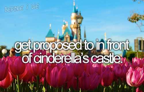 propose, marrage and castle