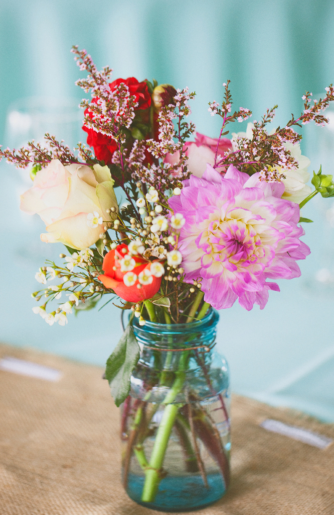flowers, amazing, rose and beautiful