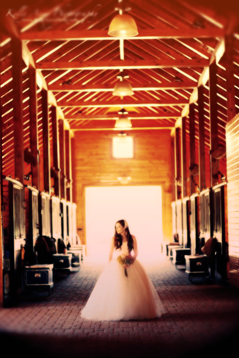 caitlin beadles, beautiful, girl and wedding dress