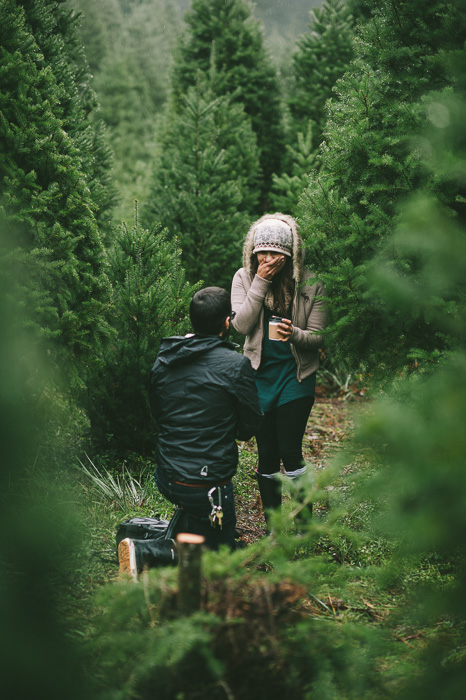 heart, lovers, yes and trees