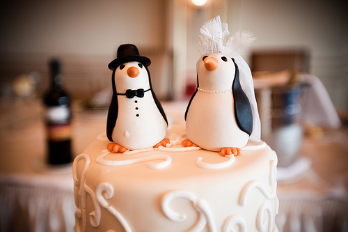 penguin and en