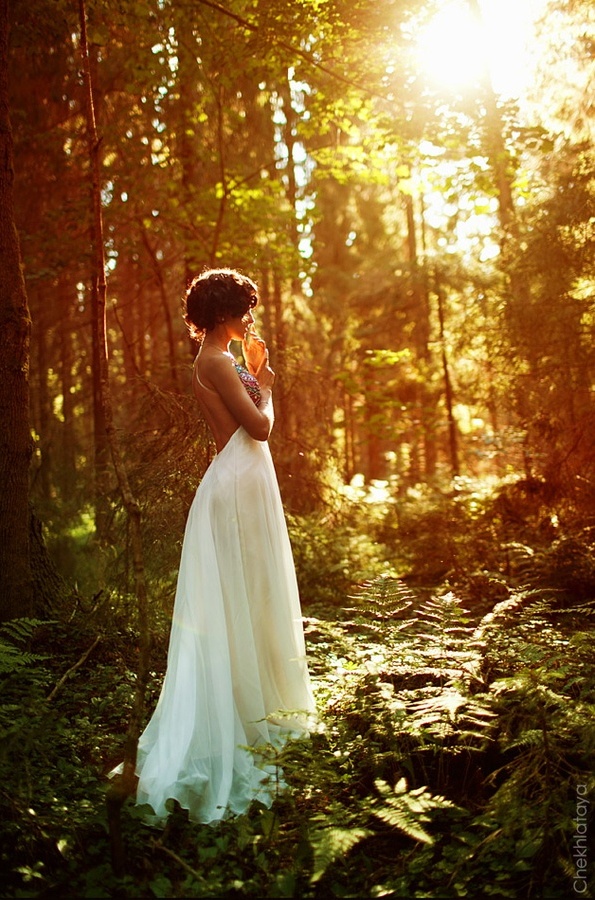 forest, sun, love and Dream
