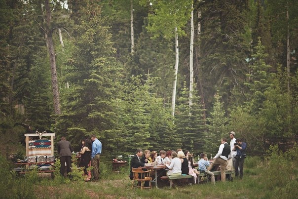 wood, folk and forest