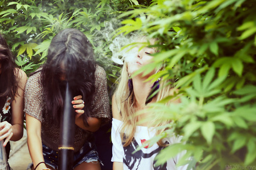 friends, smoke and weed