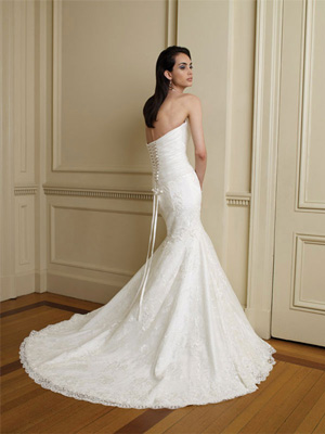plus size wedding dress, wedding dress and affordable wedding dress