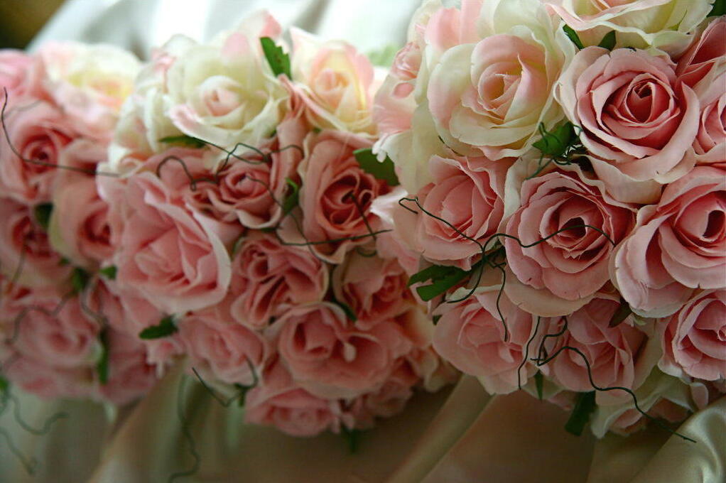 roses, pink, green and amazing