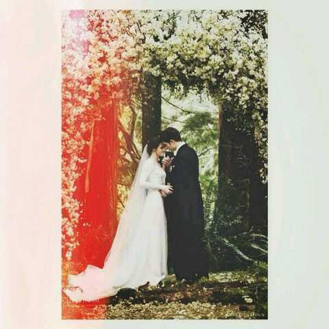 edward cullen, love, kristen stewart and bella swan