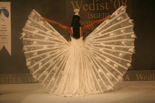 peacock, dress and bride