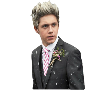 smile, one direction and niall horan