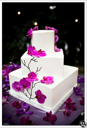 wedding cake, white and orchids