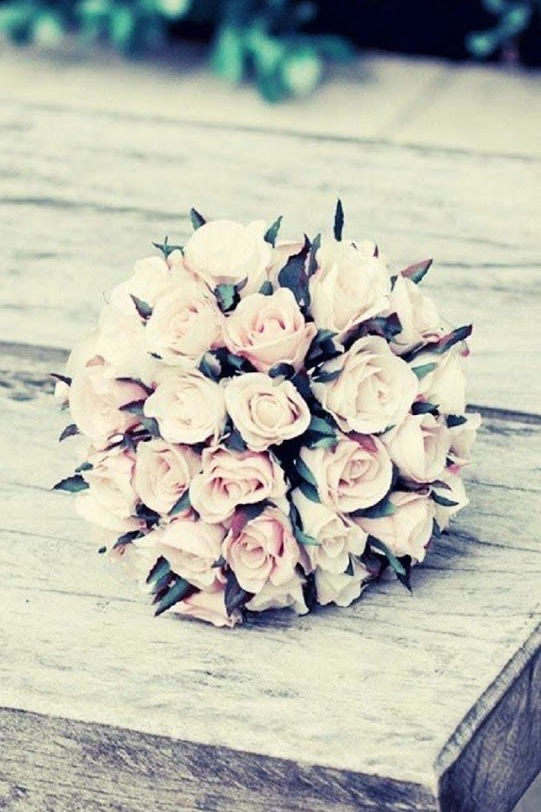 petal, wood, leaf and spring