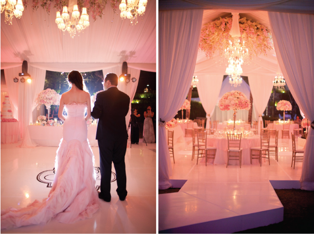 love, triumph, bride and wedding dress
