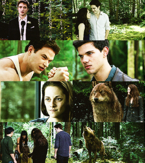 wolf, vampire, kellan lutz and twilight saga