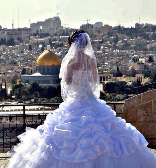 beautiful, palastine, wonderful and dreamlike