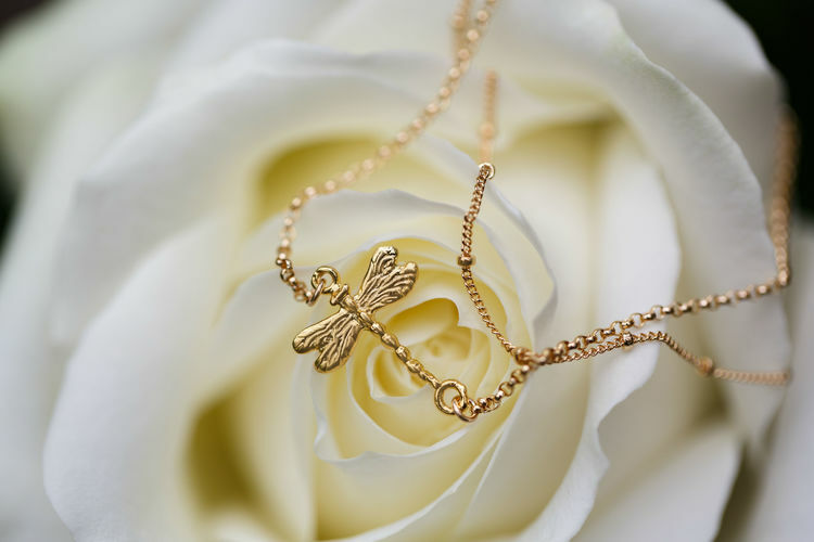 jewellery, fashion, dragonfly and gold