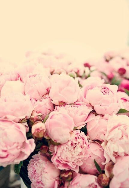 floral, flowers and pretty
