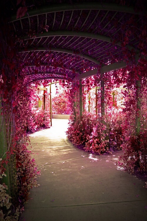 aisle, pink, photography and reception