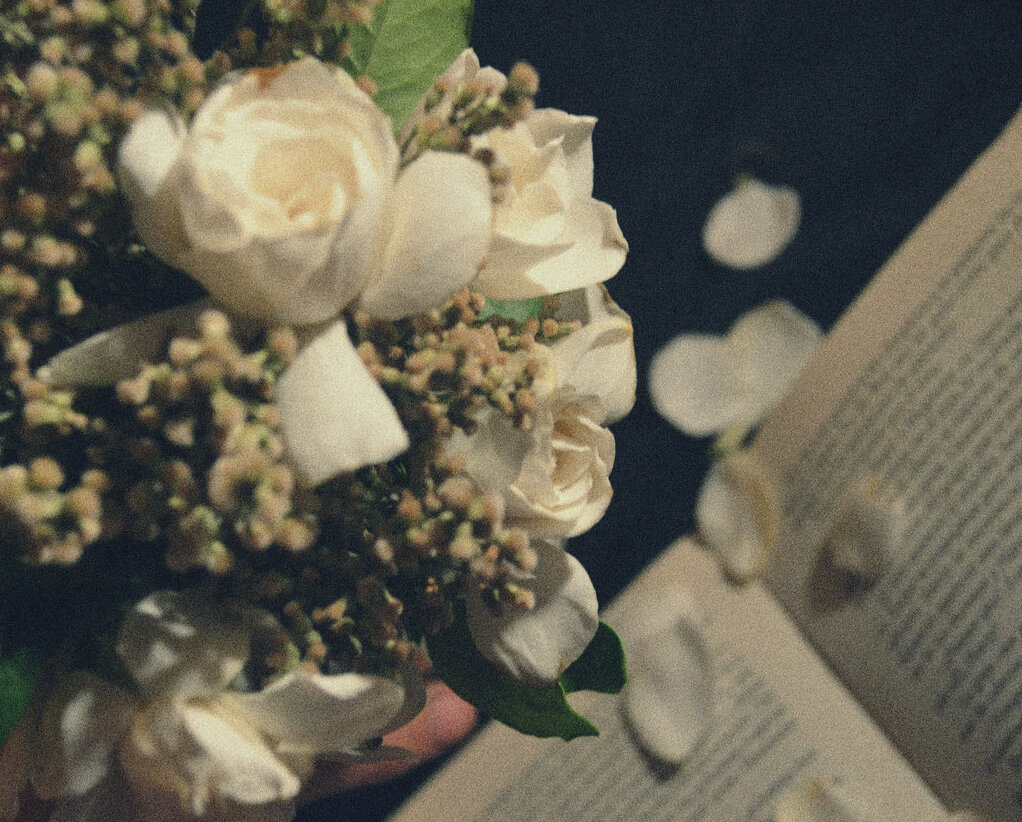 photograpy, vintage, book and inspiration