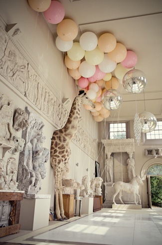 photography, giraffe and balloons
