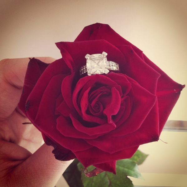 flowers, diamonds, red rose and diamond