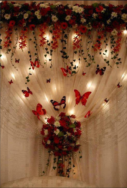 home, beautiful and butterfly
