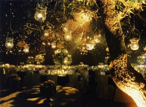 canopy, magical and orchard