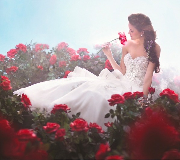 luxury, red flowers, moda and fashion