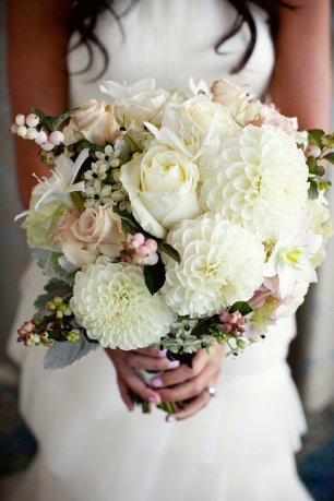 flowers, purple and pink