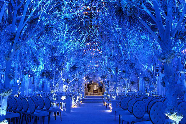 lighting, chair and serene