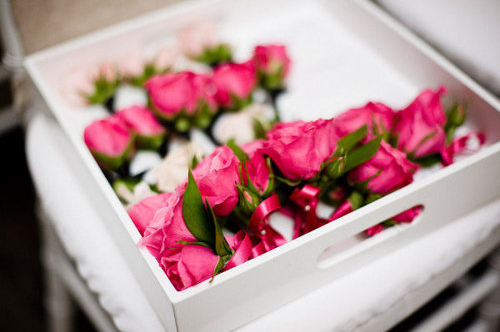 roses, flowers and pink