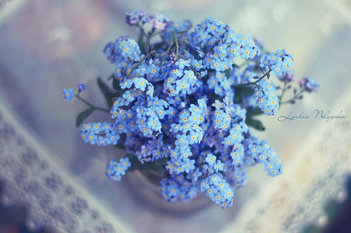 flowers, wedding dress and blue