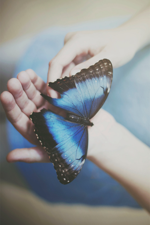 jamie mcguire, beautiful disaster, butterfly and book
