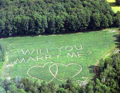 cute, just married and marry me?