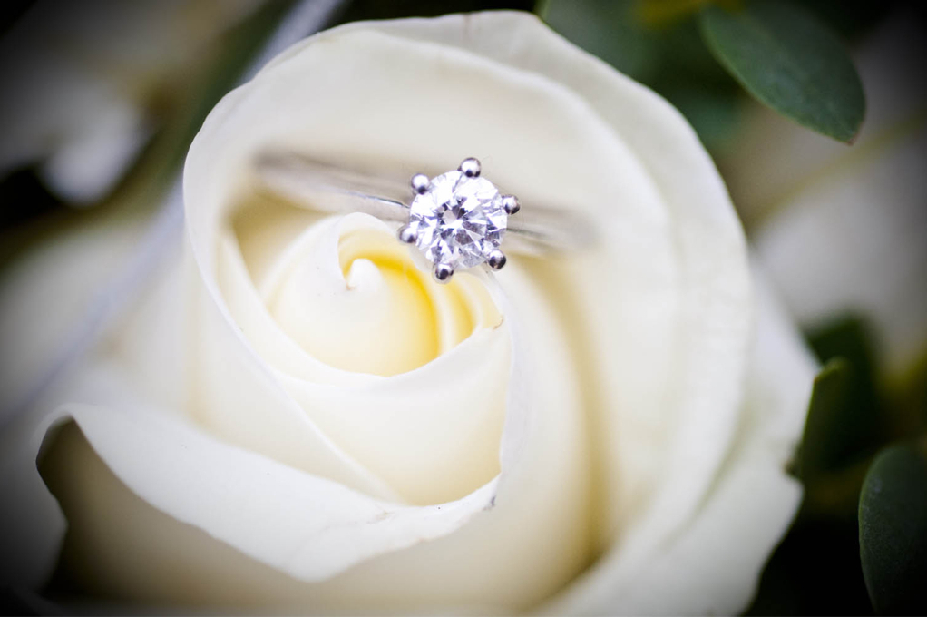 rose, love, diamond and ring