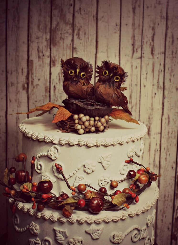 owl, love, ideas and food