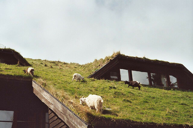 2016, green and norway