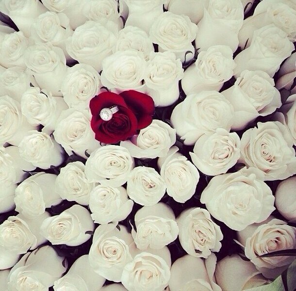 wedding ring, proposal, red and Dream