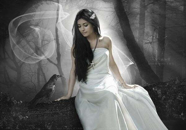 raven, forest and gothic