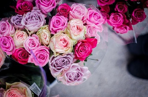 Valentine's Day, cute and flowers