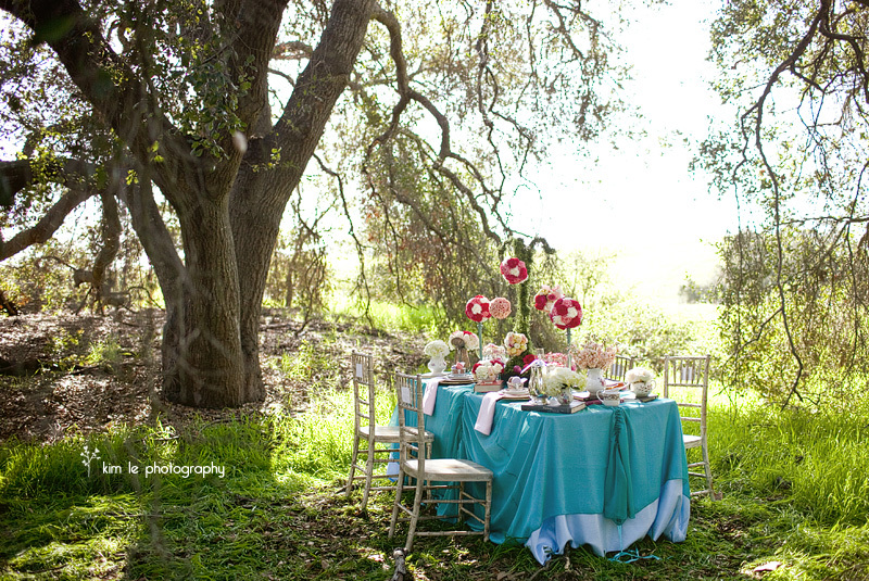 alice in wonderland, themed and time